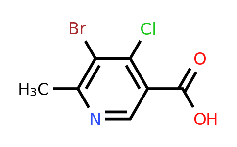 CAS 1394042-74-0 | 5-bromo-4-chloro-6-methylpyridine-3-carboxylic acid