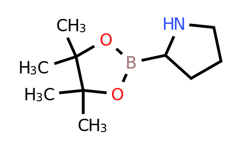 CAS 139649-84-6 | 2-(4,4,5,5-tetramethyl-1,3,2-dioxaborolan-2-yl)pyrrolidine