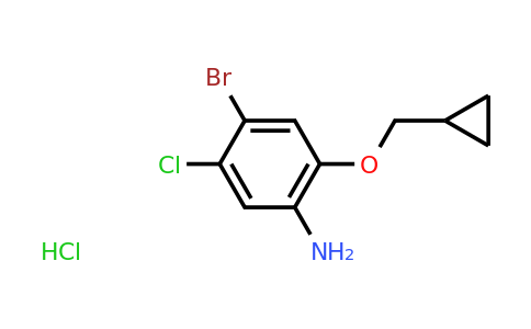 CAS 1400644-73-6 | 4-Bromo-5-chloro-2-(cyclopropylmethoxy)aniline HCl