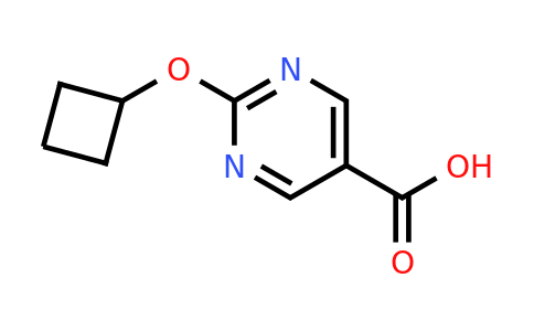 CAS 1402232-91-0 | 2-Cyclobutoxypyrimidine-5-carboxylic acid