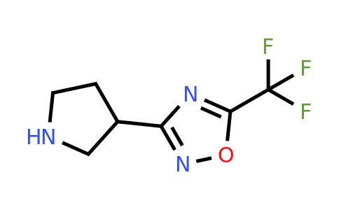 CAS 1402664-87-2 | 3-Pyrrolidin-3-yl-5-trifluoromethyl-[1,2,4]oxadiazole