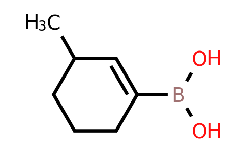 CAS 1402704-12-4 | (3-methylcyclohex-1-en-1-yl)boronic acid