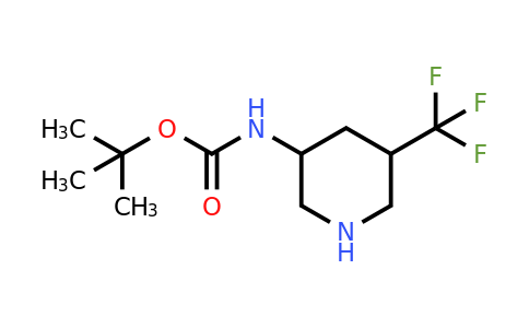 CAS 1405128-48-4 | tert-butyl N-[5-(trifluoromethyl)piperidin-3-yl]carbamate