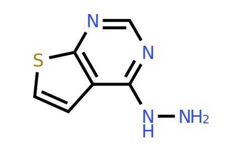 CAS 14080-58-1 | {thieno[2,3-d]pyrimidin-4-yl}hydrazine