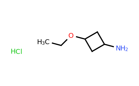 CAS 1408076-38-9 | 3-ethoxycyclobutan-1-amine hydrochloride