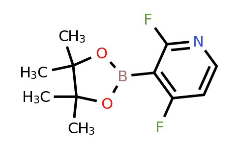 CAS 1412905-36-2 | 2,4-Difluoro-3-(4,4,5,5-tetramethyl-1,3,2-dioxaborolan-2-YL)pyridine