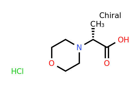 CAS 1414960-58-9 | (R)-2-Morpholin-4-yl-propionic acid hydrochloride
