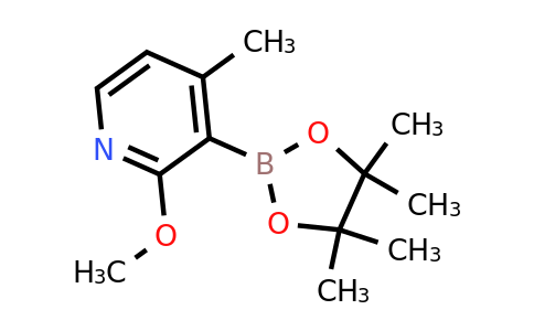 CAS 1420998-43-1 | 2-Methoxy-4-methyl-3-(4,4,5,5-tetramethyl-1,3,2-dioxaborolan-2-YL)pyridine