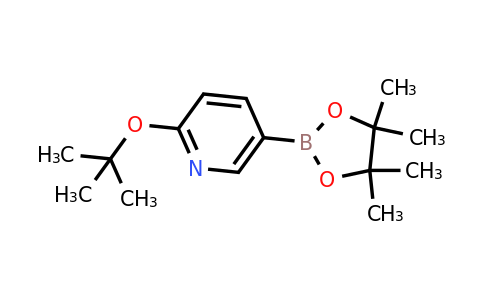 CAS 1421341-09-4 | 2-(tert-butoxy)-5-(4,4,5,5-tetramethyl-1,3,2-dioxaborolan-2-yl)pyridine