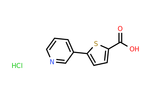 CAS 1421602-69-8 | 5-(pyridin-3-yl)thiophene-2-carboxylic acid hydrochloride