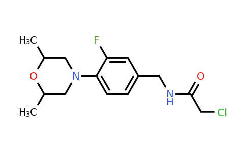 CAS 1421603-80-6 | 2-Chloro-N-{[4-(2,6-dimethylmorpholin-4-yl)-3-fluorophenyl]methyl}acetamide