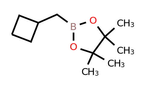 CAS 1422558-28-8 | 2-(cyclobutylmethyl)-4,4,5,5-tetramethyl-1,3,2-dioxaborolane