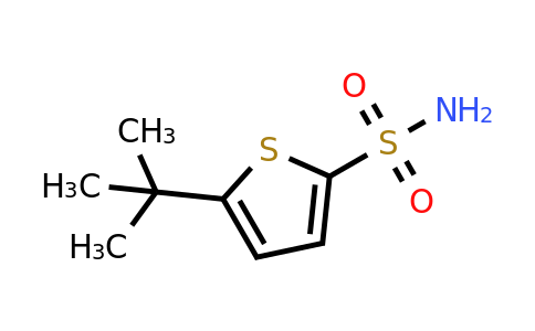 CAS 142294-56-2 | 5-tert-butylthiophene-2-sulfonamide