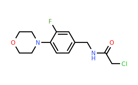 CAS 1423024-98-9 | 2-Chloro-N-{[3-fluoro-4-(morpholin-4-yl)phenyl]methyl}acetamide