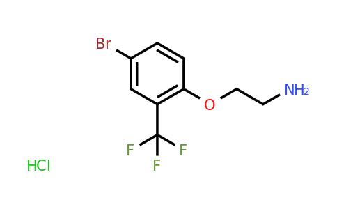 CAS 1423027-91-1 | 2-[4-bromo-2-(trifluoromethyl)phenoxy]ethan-1-amine hydrochloride