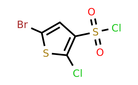 CAS 1423028-87-8 | 5-bromo-2-chlorothiophene-3-sulfonyl chloride