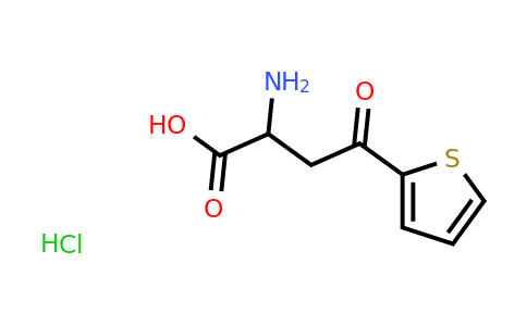 CAS 1423029-16-6 | 2-amino-4-oxo-4-(thiophen-2-yl)butanoic acid hydrochloride