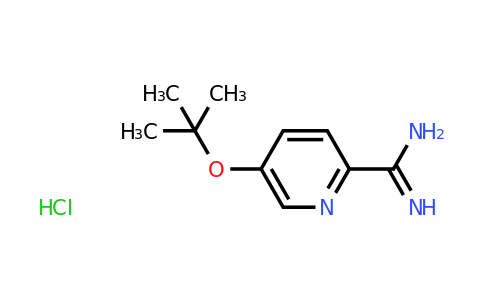 CAS 1423029-35-9 | 5-(tert-butoxy)pyridine-2-carboximidamide hydrochloride