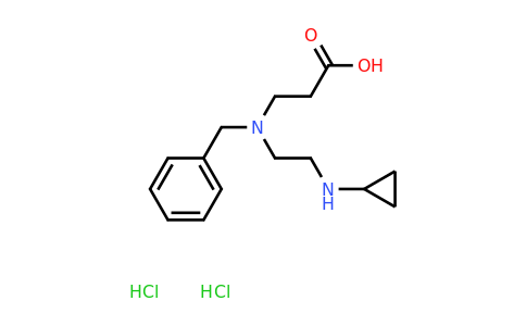 CAS 1423029-66-6 | 3-{benzyl[2-(cyclopropylamino)ethyl]amino}propanoic acid dihydrochloride