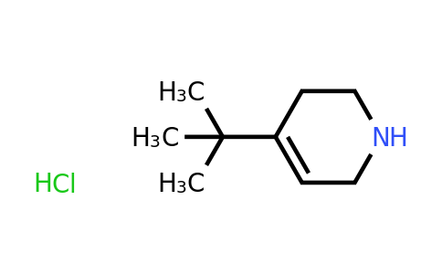 CAS 1423029-73-5 | 4-tert-butyl-1,2,3,6-tetrahydropyridine hydrochloride