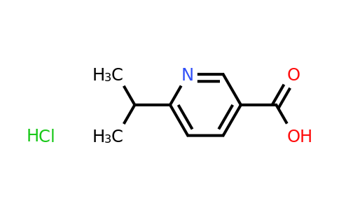 CAS 1423029-80-4 | 6-(propan-2-yl)pyridine-3-carboxylic acid hydrochloride