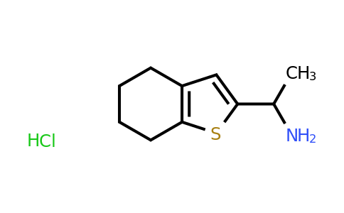 CAS 1423031-24-6 | 1-(4,5,6,7-tetrahydro-1-benzothiophen-2-yl)ethan-1-amine hydrochloride