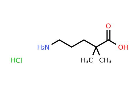 CAS 1423034-72-3 | 5-amino-2,2-dimethylpentanoic acid hydrochloride