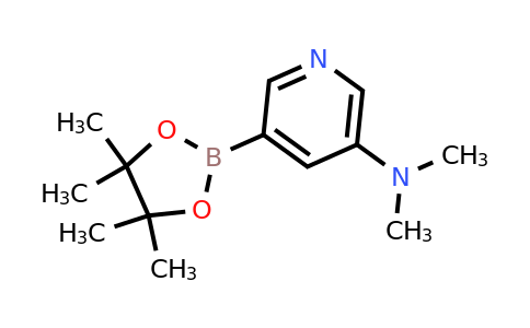 CAS 1425045-81-3 | 5-(Dimethylamino)pyridine-3-boronic acid pinacol ester
