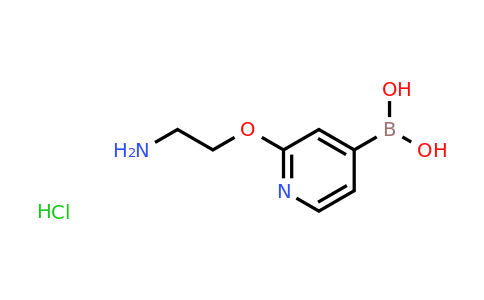 CAS 1425334-87-7 | (2-(2-Aminoethoxy)pyridin-4-yl)boronic acid hydrochloride