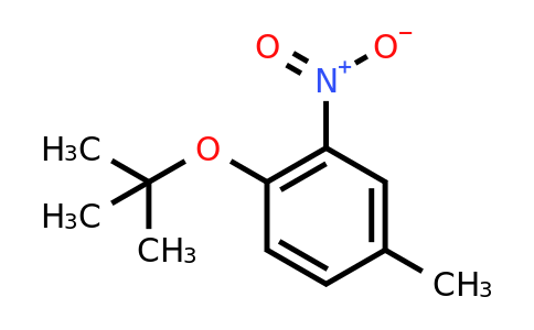 CAS 142596-55-2 | 1-(tert-butoxy)-4-methyl-2-nitrobenzene