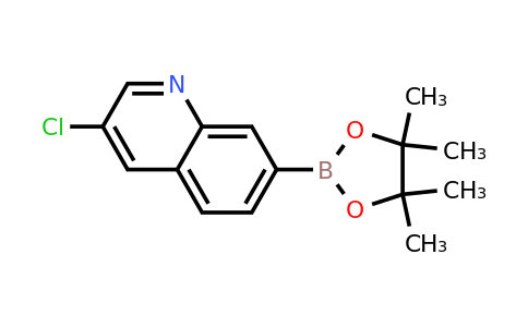 CAS 1426050-86-3 | 3-Chloro-7-(4,4,5,5-tetramethyl-1,3,2-dioxaborolan-2-yl)quinoline