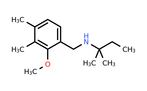 CAS 1427020-76-5 | N-(2-Methoxy-3,4-dimethylbenzyl)-2-methylbutan-2-amine