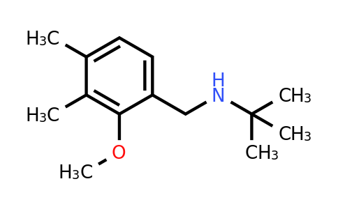 CAS 1427026-93-4 | N-(2-Methoxy-3,4-dimethylbenzyl)-2-methylpropan-2-amine