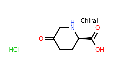 CAS 1427203-51-7 | (2R)-5-oxopiperidine-2-carboxylic acid hydrochloride