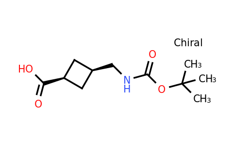 cyclobutanecarboxylic acid, 3-[[[(1,1-dimethylethoxy)carbonyl]amino]methyl]-, cis-