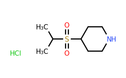 CAS 1427378-84-4 | 4-(propane-2-sulfonyl)piperidine hydrochloride