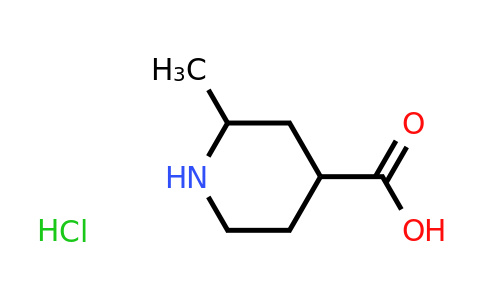 CAS 1427380-46-8 | 2-methylpiperidine-4-carboxylic acid hydrochloride