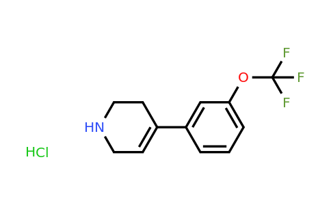 CAS 1427380-86-6 | 4-[3-(trifluoromethoxy)phenyl]-1,2,3,6-tetrahydropyridine hydrochloride