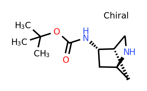 CAS 1428546-38-6 | rel-(1S,4S,5S)-(2-Aza-bicyclo[2.2.1]hept-5-yl)-carbamic acid tert-butyl ester