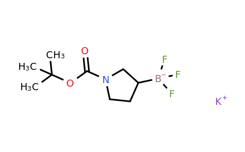 CAS 1430219-72-9 | potassium {1-[(tert-butoxy)carbonyl]pyrrolidin-3-yl}trifluoroboranuide