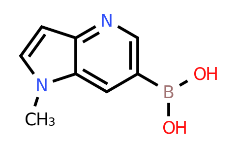 CAS 1430237-52-7 | {1-methyl-1H-pyrrolo[3,2-b]pyridin-6-yl}boronic acid