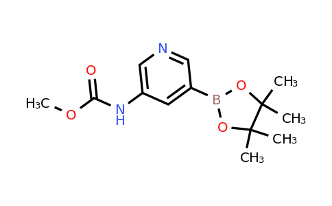 CAS 1430401-05-0 | 5-(Methoxycarbonylamino)pyridine-3-boronic acid pinacol ester