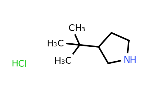 CAS 1431774-20-7 | 3-tert-butylpyrrolidine hydrochloride