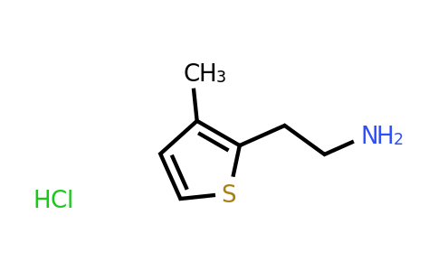 CAS 1432677-65-0 | 2-(3-methylthiophen-2-yl)ethan-1-amine hydrochloride