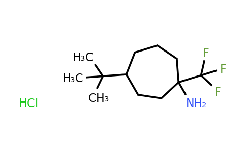 CAS 1432677-69-4 | 4-tert-butyl-1-(trifluoromethyl)cycloheptan-1-amine hydrochloride