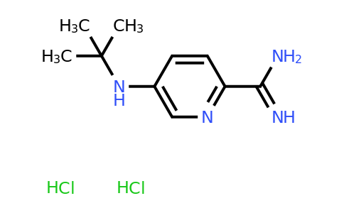 CAS 1432677-75-2 | 5-(tert-butylamino)pyridine-2-carboximidamide dihydrochloride