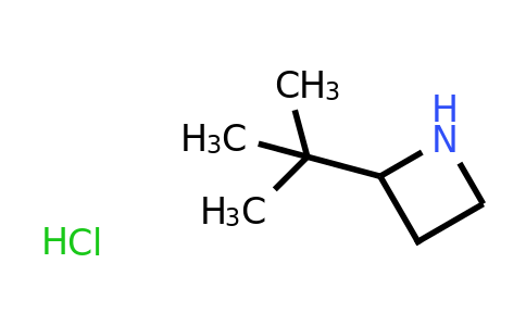 CAS 1432678-94-8 | 2-tert-butylazetidine hydrochloride