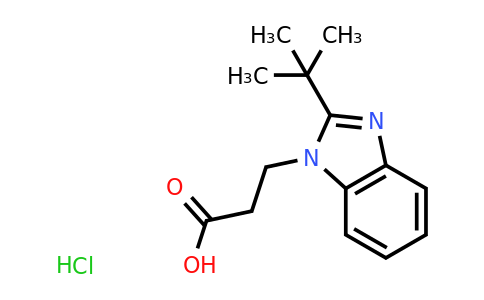 CAS 1432679-62-3 | 3-(2-tert-butyl-1H-1,3-benzodiazol-1-yl)propanoic acid hydrochloride