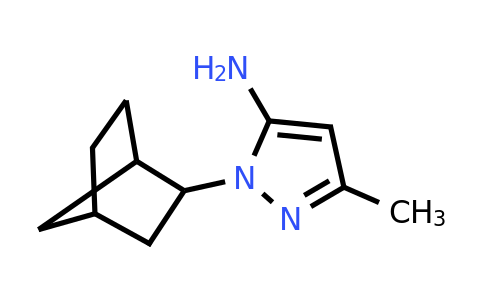CAS 1432680-01-7 | 1-{bicyclo[2.2.1]heptan-2-yl}-3-methyl-1H-pyrazol-5-amine