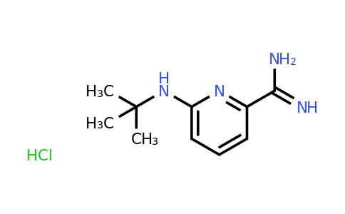 CAS 1432681-69-0 | 6-(tert-butylamino)pyridine-2-carboxamidine;hydrochloride